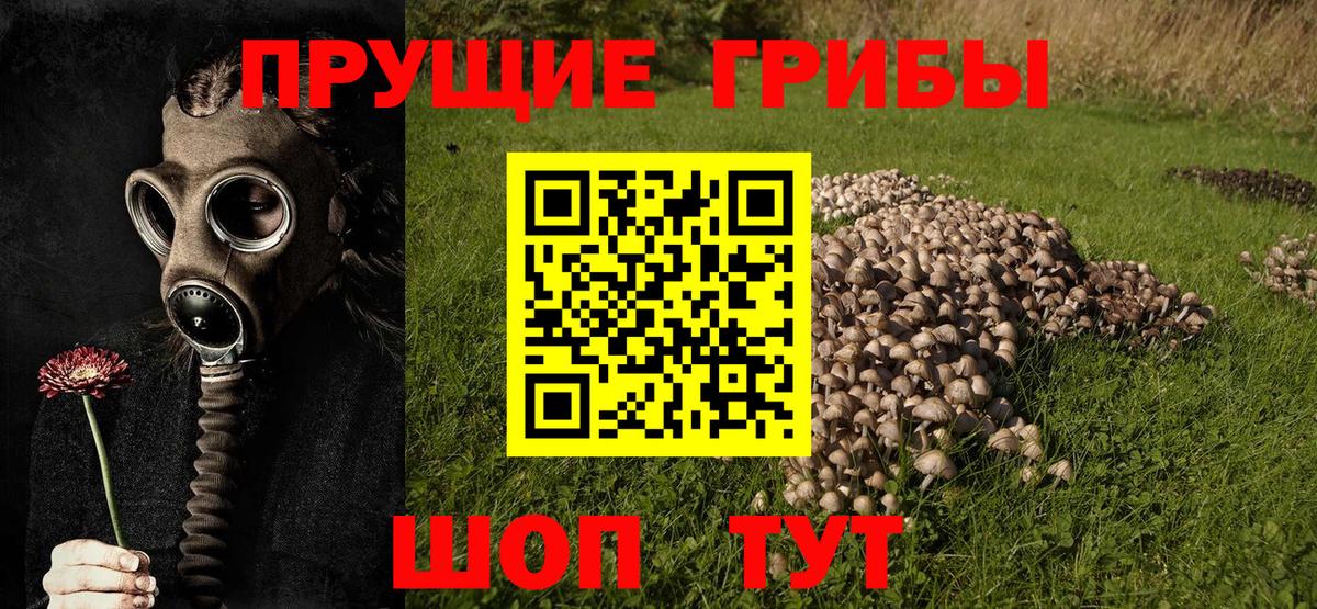 Псилоцибиновые грибы Cubensis  Вход с VPN  Псилоцибиновые грибы Cubensis  Троицк 